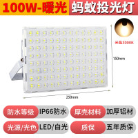 沣广 LED泛光灯 100W 1个