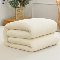 芸梦琛 棉花铺被 200*90cm 1床