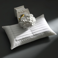 古睿德 48*74cm 荞麦羽丝枕芯 1个