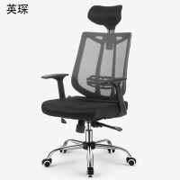 英琛 黑色 网状靠背 人体工学椅 办公椅 660*480*1200±30mm 1个