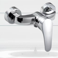 狼之吻淋浴混合阀冷热水龙头淋浴套装浴室双开 洗澡喷头淋浴龙头111-03 15mm