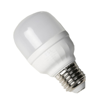 佛山照明 T60 220V 10W 65K E27 亮霸系列柱形泡