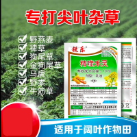 大丰收 丰创惠选 30ml 10%精喹禾灵大豆花生专用除杂草除草剂 单位:袋