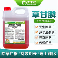 大丰收 NZ草甘膦5kg 41%草甘膦异丙胺盐水剂草甘膦除草剂 单位:桶 (全国)