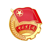 册宣 2cm别针款团徽 磁扣加厚款 强磁铁 2cm别针款 1个装