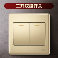 正泰 二开双控 NEW7D-0040XA 香槟色 开关(面板)单位:个