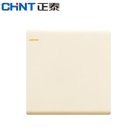 正泰开关 NEW2-U00202(暗装2U系列)一开双控 金色