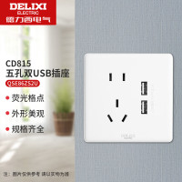 德力西CD815系列一位二极一位三极带USB插座QSE86ZS2U