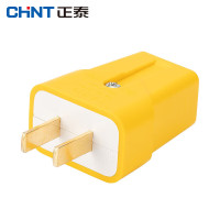 正泰 NEA7-A201接线板弱电箱用插排插家用电源板插板 地拖插头二插 10A