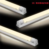 亚明 亚其T8灯管 YQ- T8-0.6米 功率:10W