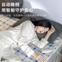 彩虹 1528A全线路保护双控双温电热毯双人磨毛布(颜色随机)