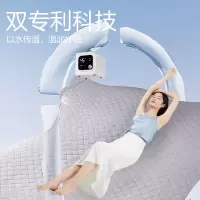 彩虹 1332保护双控双温电热毯双人特大宽幅印花(颜色随机)