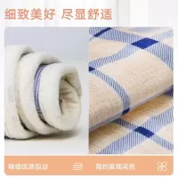 彩虹 1368 全线路保护双控双温电热毯双人长毛绒(颜色随机)