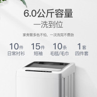 威力(WEILI) 全自动洗衣机 XQB60-1999J