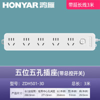 鸿雁 ZDH501-30 五位五孔3米