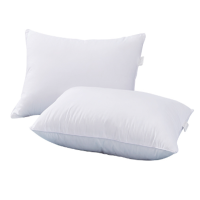 册宣 酒店枕芯羽丝绒枕头防雨布1000克羽丝棉底枕