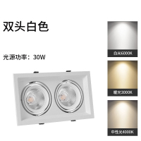 建牧 双头白壳格栅斗胆灯30w开孔尺寸125*235