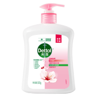 滴露 抑菌洗手液滋润倍护 6974352530413 500g 新旧包装随机发货 1瓶