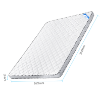 中伟环保椰棕床垫硬棕垫薄棕榈床垫榻榻米床垫子 2000*1000*50mm
