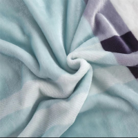 紫韵180*200织梦暖绒盖毯毛巾毯盖被(单位:床)