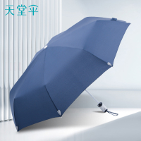 天堂伞 晴雨伞长柄创意折叠晴雨两用伞商务雨伞超大自动伞 3331E碰 灰兰