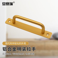 安赛瑞 铝合金门把手 2个装玻璃移门窗户拉手 金色孔距160mm 5D00049