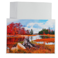 天章(TANGO)a3铜版纸160g 彩色喷墨铜板打印纸名片纸 A3喷墨双面高光照片纸相纸 50页彩喷纸仅适用于喷墨打印