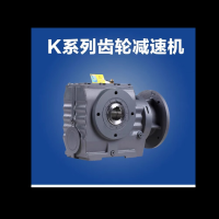 册宣 国茂减速机 RKFS四大系列 齿轮减速机 K37