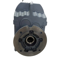 册宣 国茂减速机 RKFS四大系列 齿轮减速机 F47