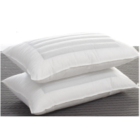 册宣羽丝绒荞麦两用枕芯1200克 尺寸45*75cm 公差±3cm