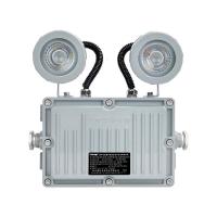 通明 TM-ZFJC-E3W-ZY5200带系统 2×1.5W IP66 DC36V 5000K白光 集中控制型消防应急照明灯具 (计价单位:盏) 灰色