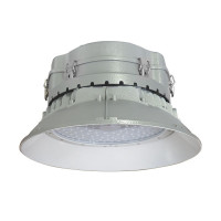 华荣 RLEHB0016-XL200(361) 200W、IP66、220V、光源色温5500K左右、LED 固定式LED灯具 (计价单位:个) 灰色