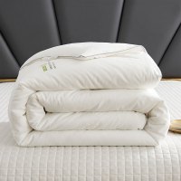 艾逸瑶选 圣玛丽澳洲羊毛冬被200*230cm JF-24136 1.00 件/床 (计价单位:床) 白色