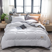 婵思 BZGLFS2000308 150*200/总重约3斤 芯选棉花 春秋被 1.00 件/条 (计价单位:条) 绵生