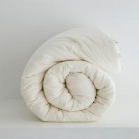 伊伊爱 BZ0TDC2100842 220*240cm 被芯 1.00 件/条 (计价单位:条) 御马本白
