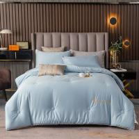 伊伊爱 BZ0TDC2100846 220*240cm 被芯 1.00 件/条 (计价单位:条) 皇嘉白