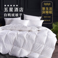 伊伊爱 BZ0HJC2100368 150*200cm 6斤蜜蜂 被子 1.00 件/条 (计价单位:条) 白色