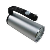 鼎晟丰(DSF) DSFB-6201A 9W 手提防爆强光探照灯 (计价单位:盏) 银色