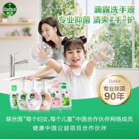 滴露(Dettol) 500g 自然清新 洗手液 (计价单位:瓶)