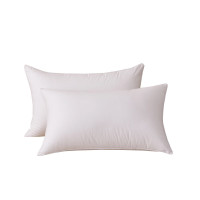 汉司家纺 48*74cm 棉 羽丝绒 枕头 1.00 件/个 (计价单位:个) 白色