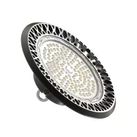 立华王 LH6600-E 300W IP65 电压AC220V光源色温5700K LED高顶灯(计价单位:个) 黑色