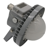 立华王LH6100-C 50W IP65 电压AC220V 光源色温5700K LED泛光工作灯 (计价单位:个) 银灰色