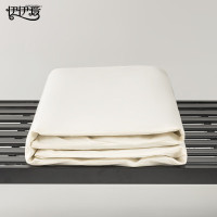 伊伊爱 纯白热熔棉床褥 约3斤 白色 90*200cm/CD0JD02401273