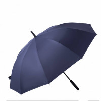 朗盛光艺 YS-02 长柄 雨伞 (计价单位:把) 蓝色