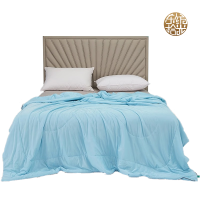 东纺拾光 DF3011-02 150*200cm天雪丝凉感夏被 被子 1.00 件/条 (计价单位:条) 深浅蓝色