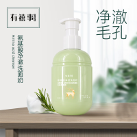 有禧事 200ML 氨基酸净澈洗面奶 (计价单位:瓶) 淡绿色