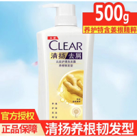 清扬养根韧发型洗发露 500g 净屑强韧 含生姜提取物 男女通用 新老包装随机发货