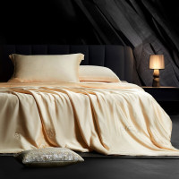 水星家纺 蚕丝被100%蚕丝夏凉被空调被夏季夏薄被子 抗菌 提花面料