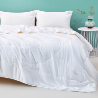 罗莱家纺(LUOLAI)被子被芯大豆纤维被春秋被 白 适用1.2m床(被子尺寸 150*200cm)
