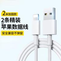 斯泰克[2条装]适用于苹果数据线手机平板iPad车载USB充电器线 2米